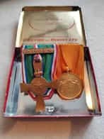 Medaillebalk spang Nieuw Guinea en trouwe dienst Goud, Verzamelen, Ophalen of Verzenden, Nederland