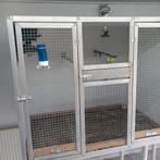 Kweek kooien, Dieren en Toebehoren, Vogels | Duiven