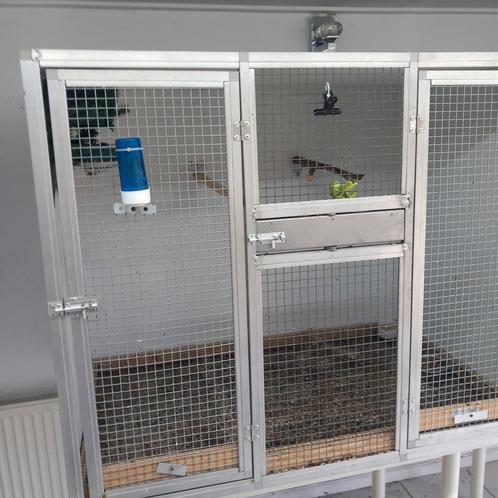 Kweek kooien, Dieren en Toebehoren, Vogels | Duiven