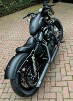Zeer mooie Harley Davidson SPORTSTER 1200 Forty Eight, LED Verlichting, 2 cilinders, Bedrijf, Meer dan 35 kW