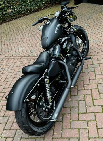 Zeer mooie Harley Davidson SPORTSTER 1200 Forty Eight beschikbaar voor biedingen