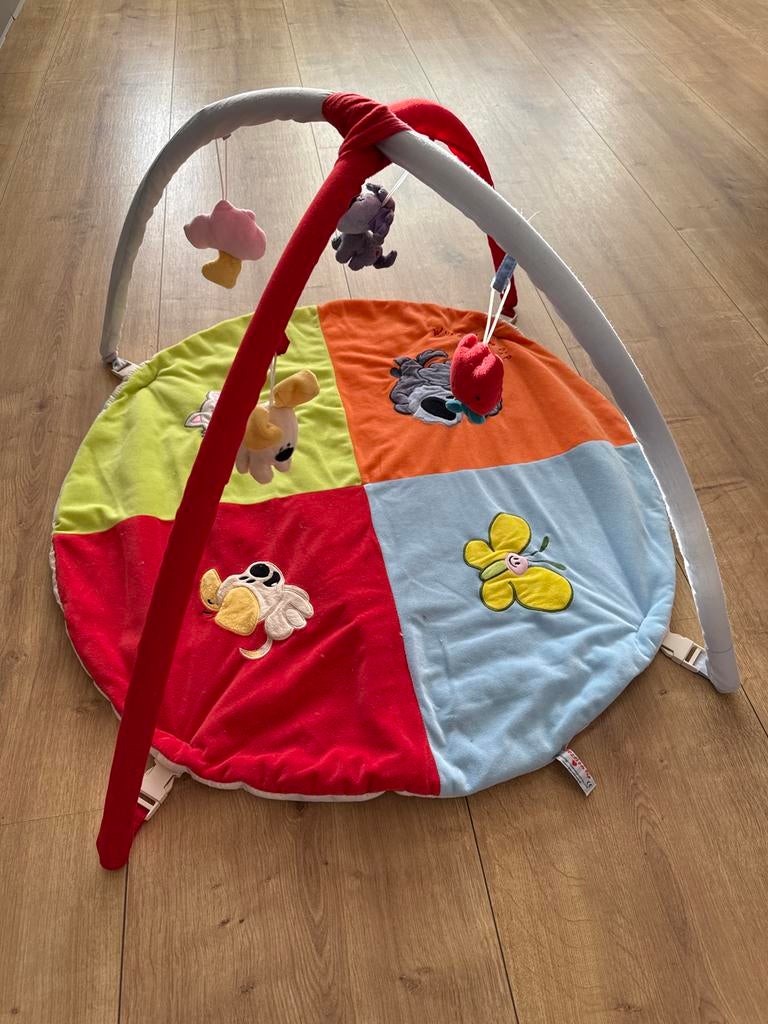 Woezel en Pip Babygym speelgoed, Kinderen en Baby's, Speelgoed | Babyspeelgoed, Ophalen of Verzenden, Zo goed als nieuw, Babygym