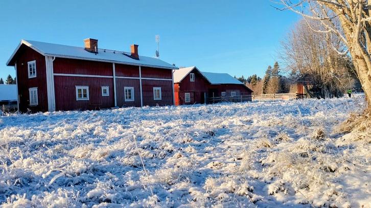 Huis in Zweden, Huizen en Kamers, Buitenland, Overig Europa, Woonhuis, Landelijk