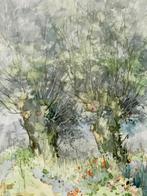 Prachtige aquarel van C. van den Heuvel met 2 knotwilgen, Antiek en Kunst, Kunst | Schilderijen | Klassiek, Ophalen