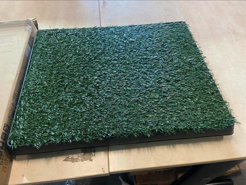 Honden toilet, Dieren en Toebehoren, Honden-accessoires, Nieuw, Ophalen of Verzenden