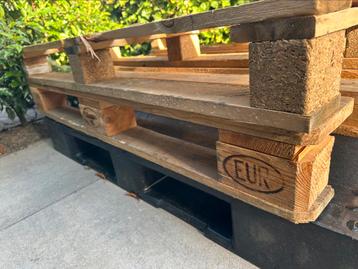 2x houten EUR pallets + 1x plastic pallet  beschikbaar voor biedingen