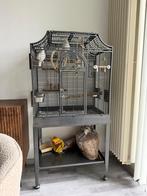 Vogelkooi, Dieren en Toebehoren, Vogels | Hokken en Kooien, Ophalen, Zo goed als nieuw, Metaal, Vogelkooi