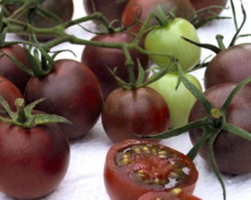Tomaat Cherry Black, Tuin en Terras, Bloembollen en Zaden, Zaad, Voorjaar, Volle zon, Ophalen of Verzenden