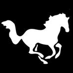 pension stalling gezocht voor 2 paarden, Dieren en Toebehoren, Weidegang, 2 of 3 paarden of pony's