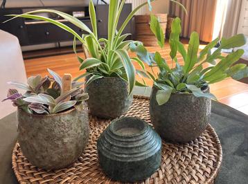 Nieuwe potjes, plantjes en groen marmeren kaarsenhoudertje  beschikbaar voor biedingen