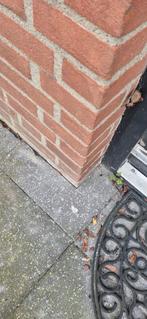 Gratis grijze tuintegels (24-30 m2) 45x45cm, Tuin en Terras, Ophalen of Verzenden, Gebruikt