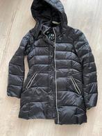 Gaastra winterjas nieuw, Kleding | Dames, Jassen | Winter, Ophalen of Verzenden, Nieuw, Zwart