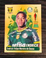 Panini 2023 Braziliaans Kampioenschap #14 ENDRICK Palmeiras, Ophalen of Verzenden, Nieuw, Overige typen