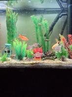 Aquarium 80 cm breed met kast, Dieren en Toebehoren, Ophalen, Zo goed als nieuw, Leeg aquarium