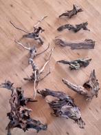 10 Stukken kienhout (verschillende maten), Ophalen, Plant(en), Steen of Hout