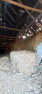 Gratis Hooi, Dieren en Toebehoren, Dierenvoeding, Ophalen, Vee