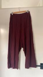 Rundholz mainline wijnrode broek maat one size, Kleding | Dames, Broeken en Pantalons, Ophalen of Verzenden, Zo goed als nieuw