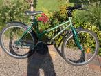 douglas mountainbike groen, Ophalen, Gebruikt, 45 tot 49 cm, Dames