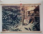 Replica schoolplaat 'wintervogels', Antiek en Kunst, Antiek | Schoolplaten, Natuur en Biologie, Ophalen of Verzenden
