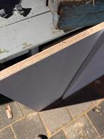 2x Wbp plaat 18mm 100x250cm - Nieuw, Doe-het-zelf en Verbouw, Platen en Panelen, Ophalen, Nieuw, Hout, Minder dan 20 mm