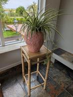 Prachtige graslelie met mooie pot, Ophalen, Minder dan 30 cm, Minder dan 60 cm, Rond