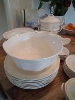 Wedgwood Queens Plain Splinter Nieuwe Schaal 23 cm, Nieuw, Ophalen of Verzenden, Schaal of Schalen, Wedgwood