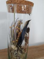 Glazen pot met droogbloemen, Huis en Inrichting, *, *, Nieuw, Ophalen of Verzenden
