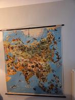 schoolplaten dieren  Australie-Zuid Amerika-Azie Westermann, Antiek en Kunst, Antiek | Schoolplaten, Ophalen, Natuur en Biologie