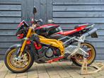 Aprilia Tuono v2 1000R factory 2009, Naked bike