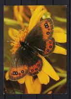 658 VLINDER, Ophalen of Verzenden, 1980 tot heden, Gelopen, Natuur