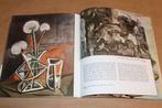 Picasso Museum Barcelona — Leven en Werk in Beeld, Boeken, Ophalen of Verzenden, Gelezen