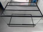 Terrarium 58 x 38,5 x 38 (lxbxh) cm, Dieren en Toebehoren, Ophalen, Gebruikt, Terrarium of Paludarium