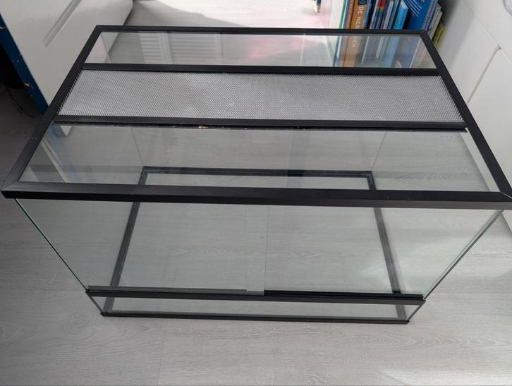 Terrarium 58 x 38,5 x 38 (lxbxh) cm, Dieren en Toebehoren, Reptielen en Amfibieën | Toebehoren, Gebruikt, Terrarium of Paludarium