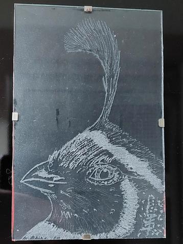 Handgemaakte gravure in glas van kwartel 1015cm schilderij beschikbaar voor biedingen
