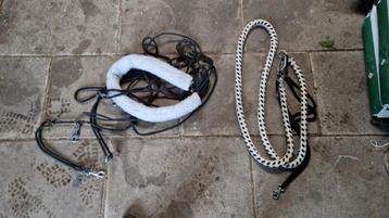 Longeerhulp  beschikbaar voor biedingen