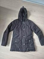 Airforce winterjas maat m, Kleding | Dames, Jassen | Winter, Maat 38/40 (M), Zwart, Ophalen of Verzenden, Onbekend