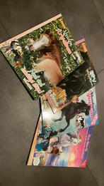 4 verschillende stripalbums van penny (paard, pony ), Ophalen of Verzenden, Zo goed als nieuw