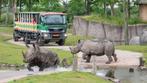 4 kaarten Wildlands Adventure Zoo Emmen, Drie personen of meer, Ticket of Toegangskaart