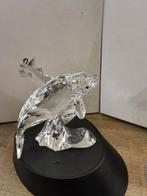 Swarovski orka, Ophalen of Verzenden, Zo goed als nieuw, Figuurtje