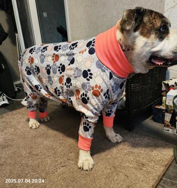 Honden piama voor grote honden! Nieuw beschikbaar voor biedingen