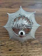 Rijkspolitie petembleem 1961-1985 model, Verzamelen, Verzenden, Overige soorten, Nederland, Embleem of Badge