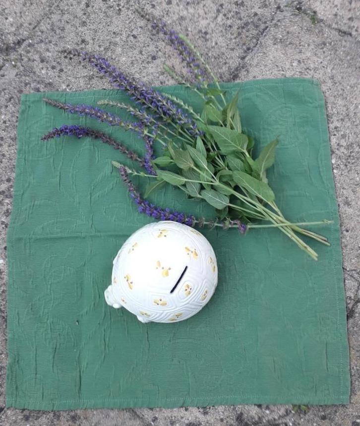 Spaarpot schildpad ontzettend leuk gedecoreerd van keramiek., Verzamelen, Spaarpotten, Zo goed als nieuw, Dier, Steen, Aardewerk of Keramiek