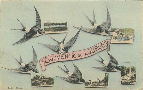 (381-122-037) Souvenir de Lourdes, Verzamelen, Ansichtkaarten | Buitenland, Frankrijk, Ophalen of Verzenden