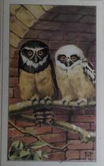 Briluil met Uilskuiken (plaatje 5,5 x 9 cm.), Ophalen of Verzenden, Nieuw, Plaatje