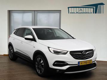 Opel Grandland X 1.2 Turbo Business Executive*AUTO*ECC*NAVI* beschikbaar voor biedingen
