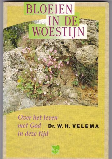 Velema, Dr. W.H. - Bloeien in de woestijn Over het leven met beschikbaar voor biedingen