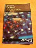 MBO-ICT – Backend programmeren, Boeken, Programmeertaal of Theorie, Gabriel Sanchez Cano, Ophalen, Gelezen
