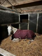 stal gezocht voor mijn 21 jarige merrie !, Dieren en Toebehoren, Stalling en Weidegang, Weidegang