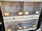 2 Broed kooien, Ophalen of Verzenden, Hout, Broedkooi of Kweekkooi