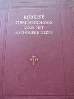 Bijbelse Geschiedenis voor het R.K.Gezin, Boeken, Ophalen of Verzenden, 19e eeuw, Zo goed als nieuw
